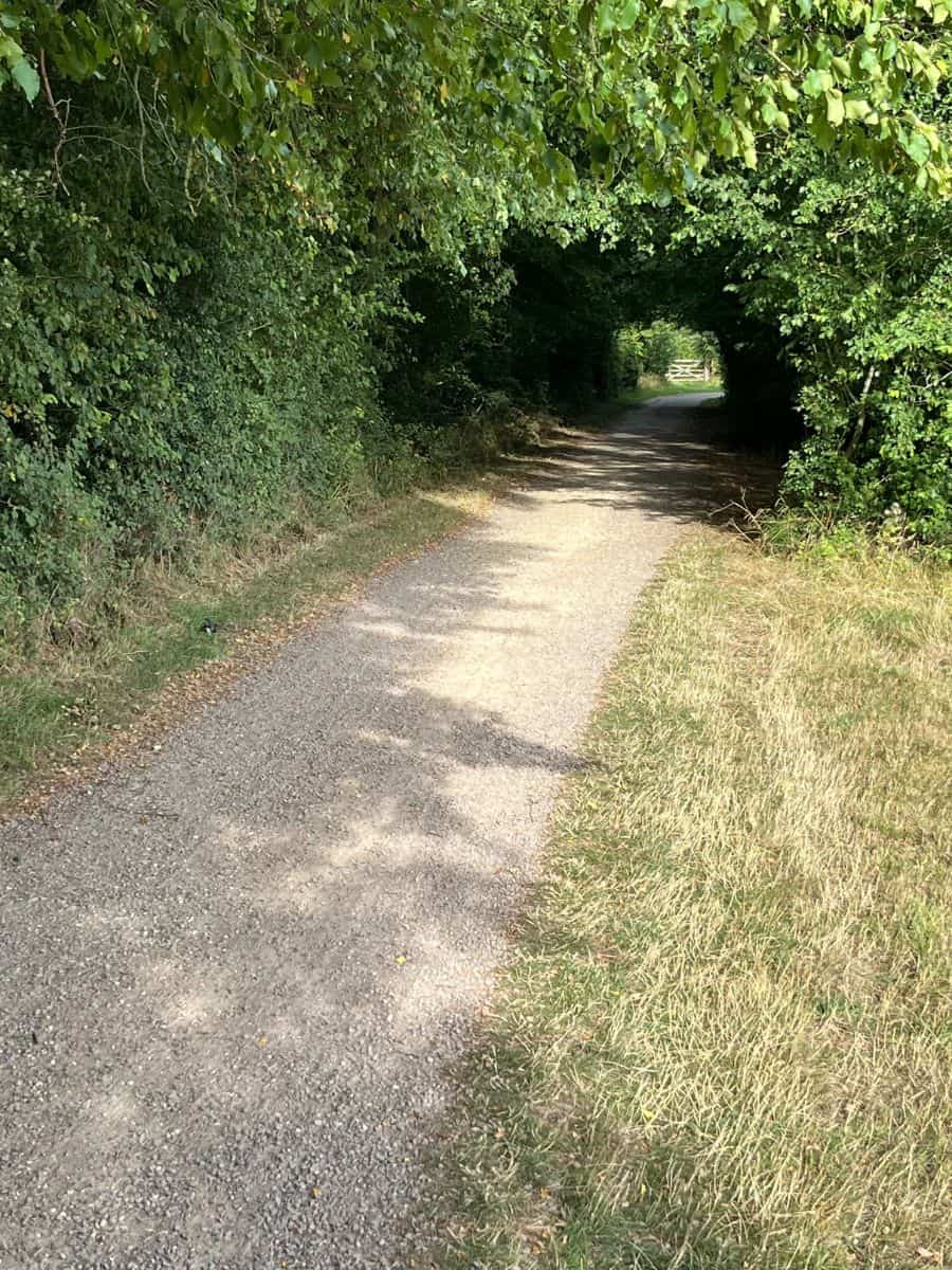 horse and pet-friendly tiny home near St Neots 14