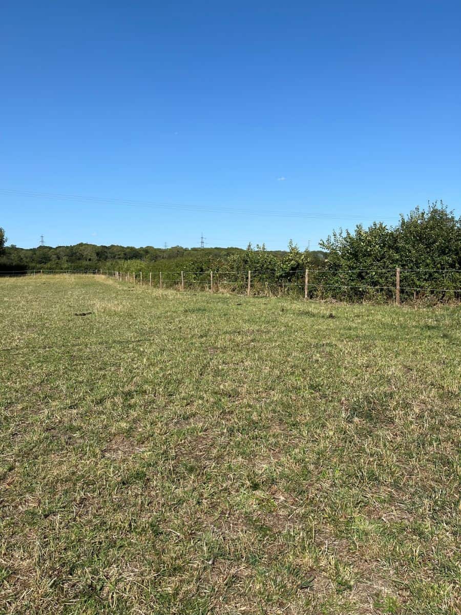 horse and pet-friendly tiny home near St Neots 15